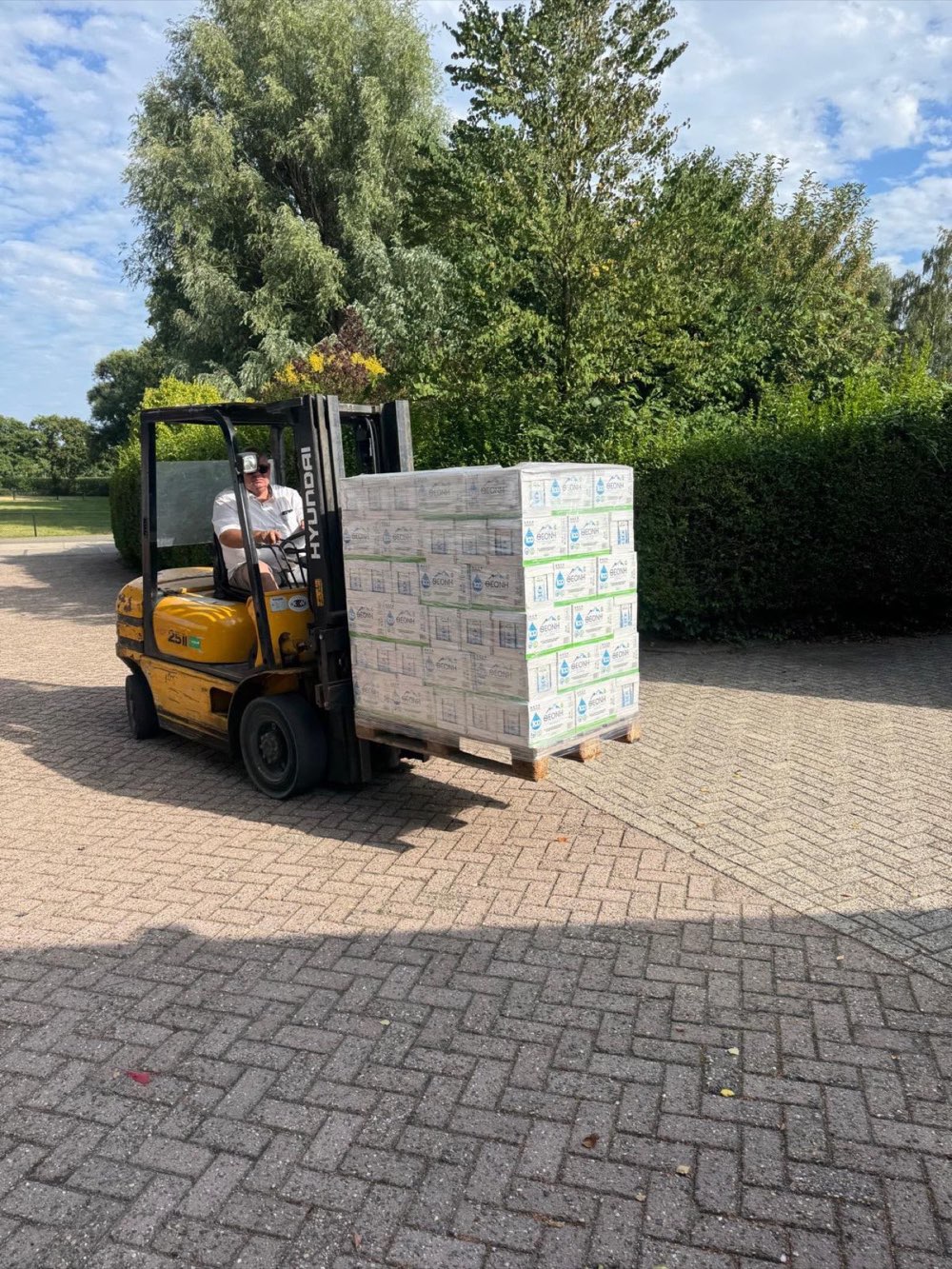 Pallet THEONI met 60 dozen